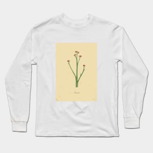 Botanical watercolor painting Long Sleeve T-Shirt